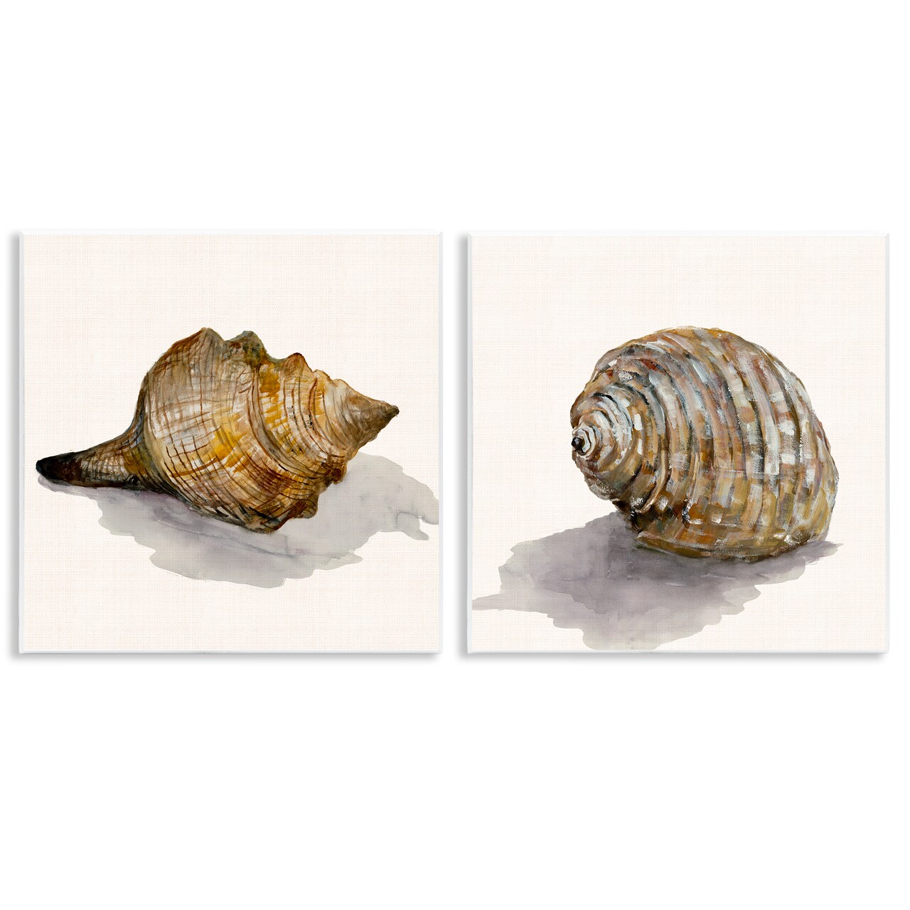 Stupell Industries Neutral Beach Shells 2pc Wall Plaque Art Set Design by Jacob Q